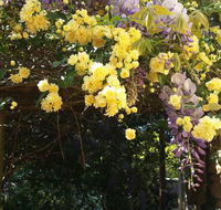 Bowral Road Bed and Breakfast - Accommodation Batemans Bay
