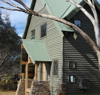 Buffalo - Accommodation Batemans Bay