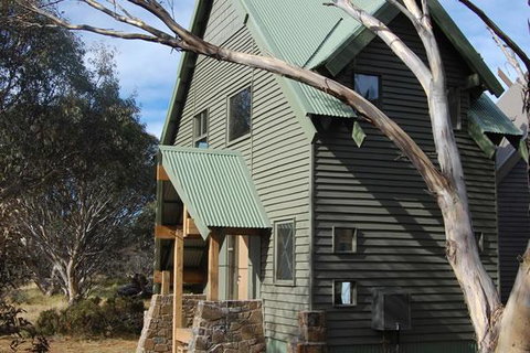 Buffalo - Accommodation Batemans Bay 0