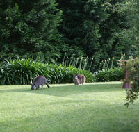 Bundanoon 2578 - Accommodation Batemans Bay