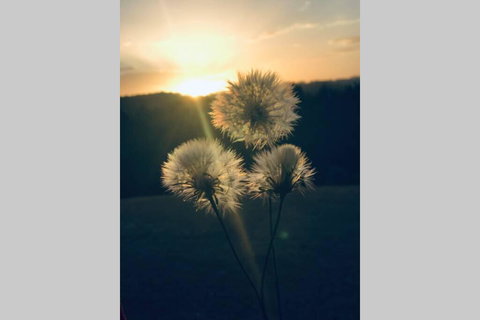 Byron Bay Hinterland House - Amazing Sunset Views! - Accommodation Batemans Bay 3