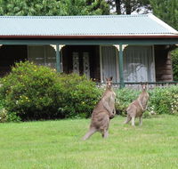 Cedar Lodge Cabins - Accommodation Batemans Bay