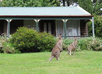 Book Mount Victoria Accommodation Vacations Accommodation Batemans Bay Accommodation Batemans Bay