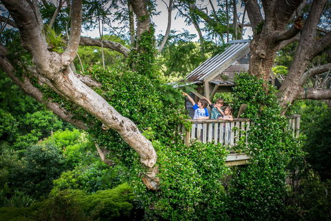Charlotte's Web - Accommodation Batemans Bay 1