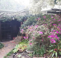 Charming country house close to Grafton - Accommodation Batemans Bay