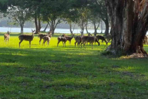 Chateau Le Marais - Accommodation Batemans Bay 2