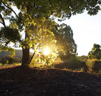 Clarendon Forest Retreat - Accommodation Batemans Bay