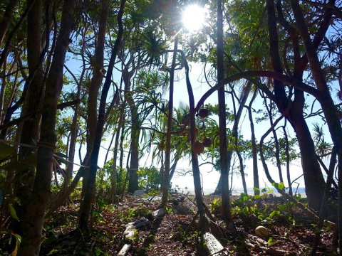 Coconut Beach House - Accommodation Batemans Bay 2