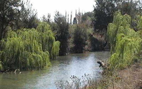 Colonial Inn Motel - Accommodation Batemans Bay 3