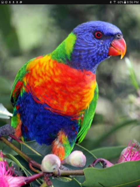 Cottage By The Bay - Accommodation Batemans Bay 3