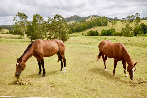 Country Breeze Farm Stay - Accommodation Batemans Bay 1