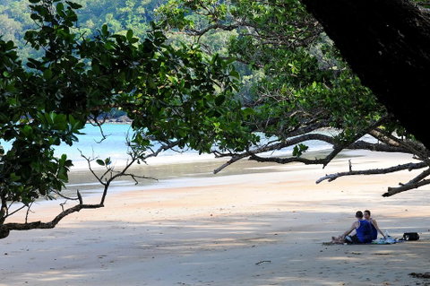 Cow Bay Homestay B&B - Accommodation Batemans Bay 1