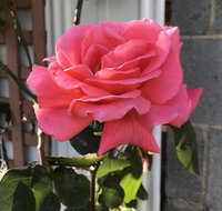 Cozy Luxury Suit With Separate Entrance - Accommodation Batemans Bay