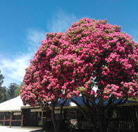 Crossways Country Inn - Accommodation Batemans Bay