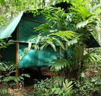 Daintree Crocodylus - Accommodation Batemans Bay