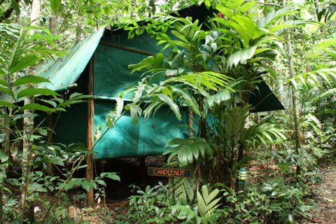 Daintree Crocodylus - Accommodation Batemans Bay 0