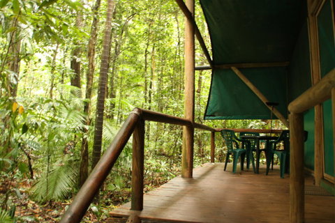 Daintree Crocodylus - Accommodation Batemans Bay 1