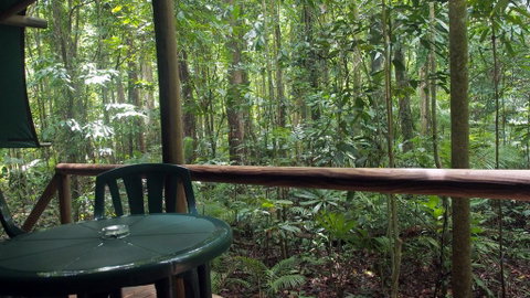 Daintree Crocodylus - Accommodation Batemans Bay 2