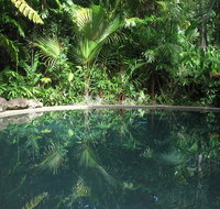 Daintree Rainforest Retreat Motel - Accommodation Batemans Bay