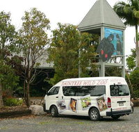 Daintree Wild Bed  Breakfast - Accommodation Batemans Bay