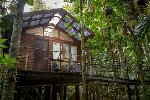 Daintree Wilderness Lodge - Accommodation Batemans Bay 2