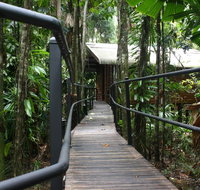 Daintree Wilderness Lodge - Accommodation Batemans Bay