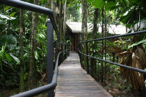 Daintree Wilderness Lodge - Accommodation Batemans Bay 0