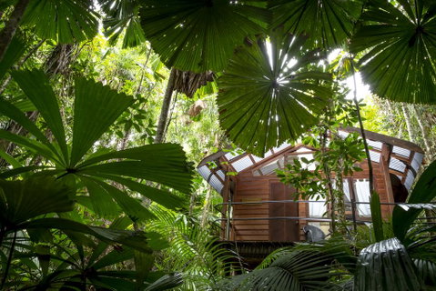 Daintree Wilderness Lodge - Accommodation Batemans Bay 1