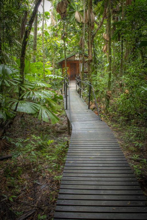 Daintree Wilderness Lodge - Accommodation Batemans Bay 3