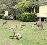 Depot Beach Cabins - Accommodation Batemans Bay