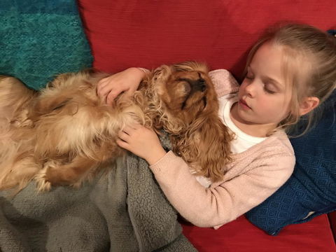 Dingup House - Accommodation Batemans Bay 2