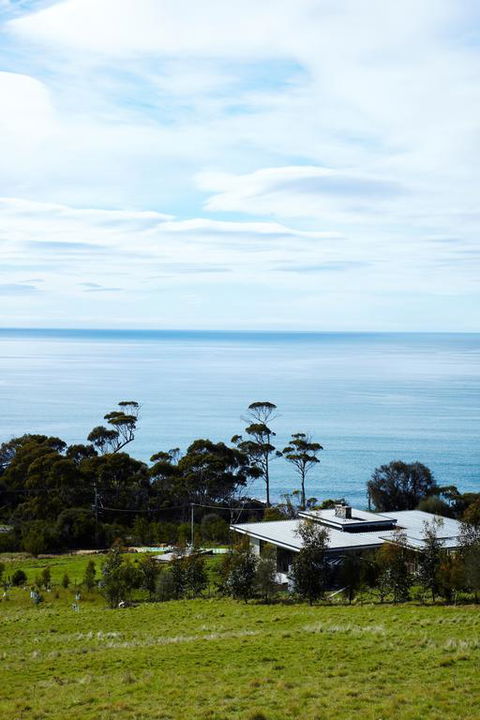 Dragonfly Lodge - Accommodation Batemans Bay 3