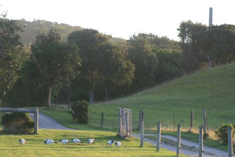 Driftwood Villas - Accommodation Batemans Bay 1