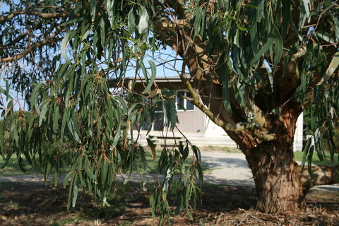 Driftwood Villas - Accommodation Batemans Bay 3