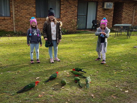 Eildon Parkview Motor Inn - Accommodation Batemans Bay 1