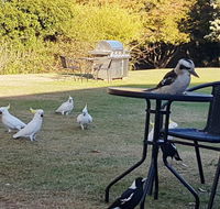Eildon Parkview Motor Inn - Accommodation Batemans Bay