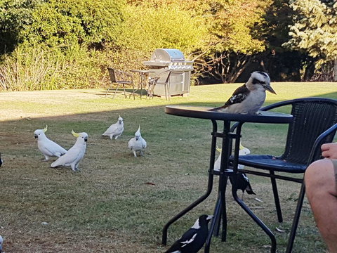 Eildon Parkview Motor Inn - Accommodation Batemans Bay 0