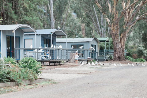 Eildon Pondage Holiday Park - Accommodation Batemans Bay 3