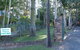 Emerald Tropical Palms B & B - thumb 2