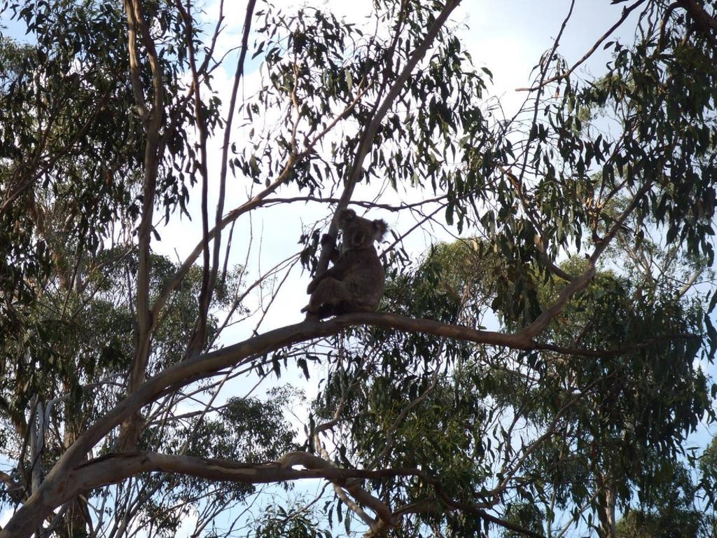 Goombungee QLD Accommodation Batemans Bay