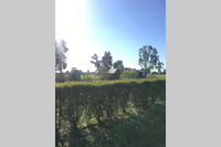 Book Benalla Accommodation Vacations Accommodation Batemans Bay Accommodation Batemans Bay