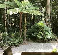 Forest Views Daintree - Accommodation Batemans Bay