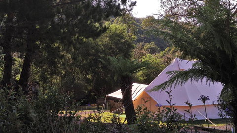 Glamping At Zeehan Bush Camp - Accommodation Batemans Bay 0