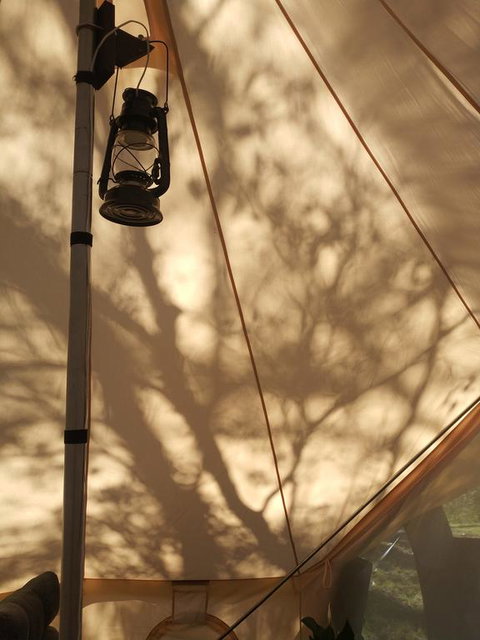 Glamping At Zeehan Bush Camp - Accommodation Batemans Bay 3