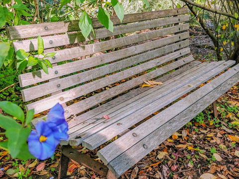 Hakea Bush Cabin - Accommodation Batemans Bay 3