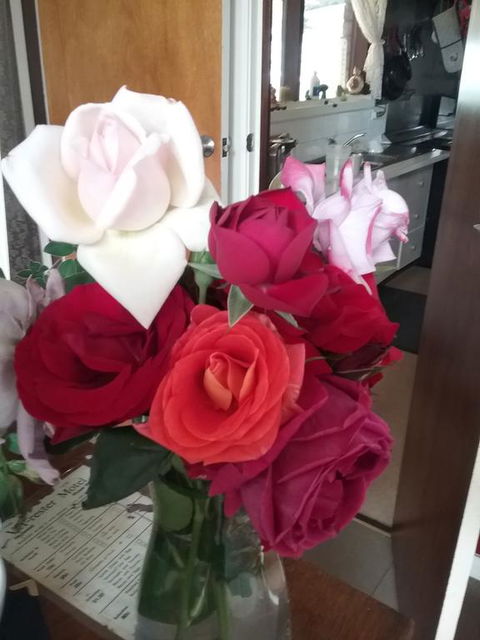 Heywood Motor Inn - Accommodation Batemans Bay 2