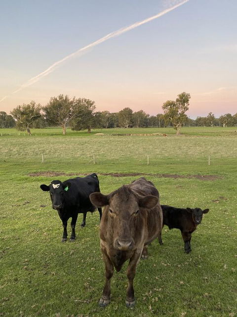 Holly House BnB - Accommodation Batemans Bay 1