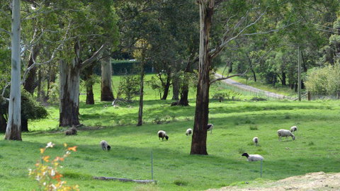 JAN'S ART STUDIO AT ASHBY RISE - Accommodation Batemans Bay 0