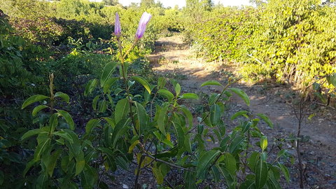 Kernow - Accommodation Batemans Bay 1