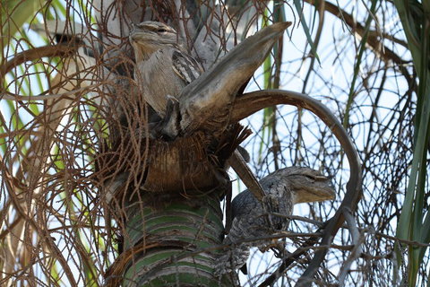 Kununurra Lakeside Resort - Accommodation Batemans Bay 2